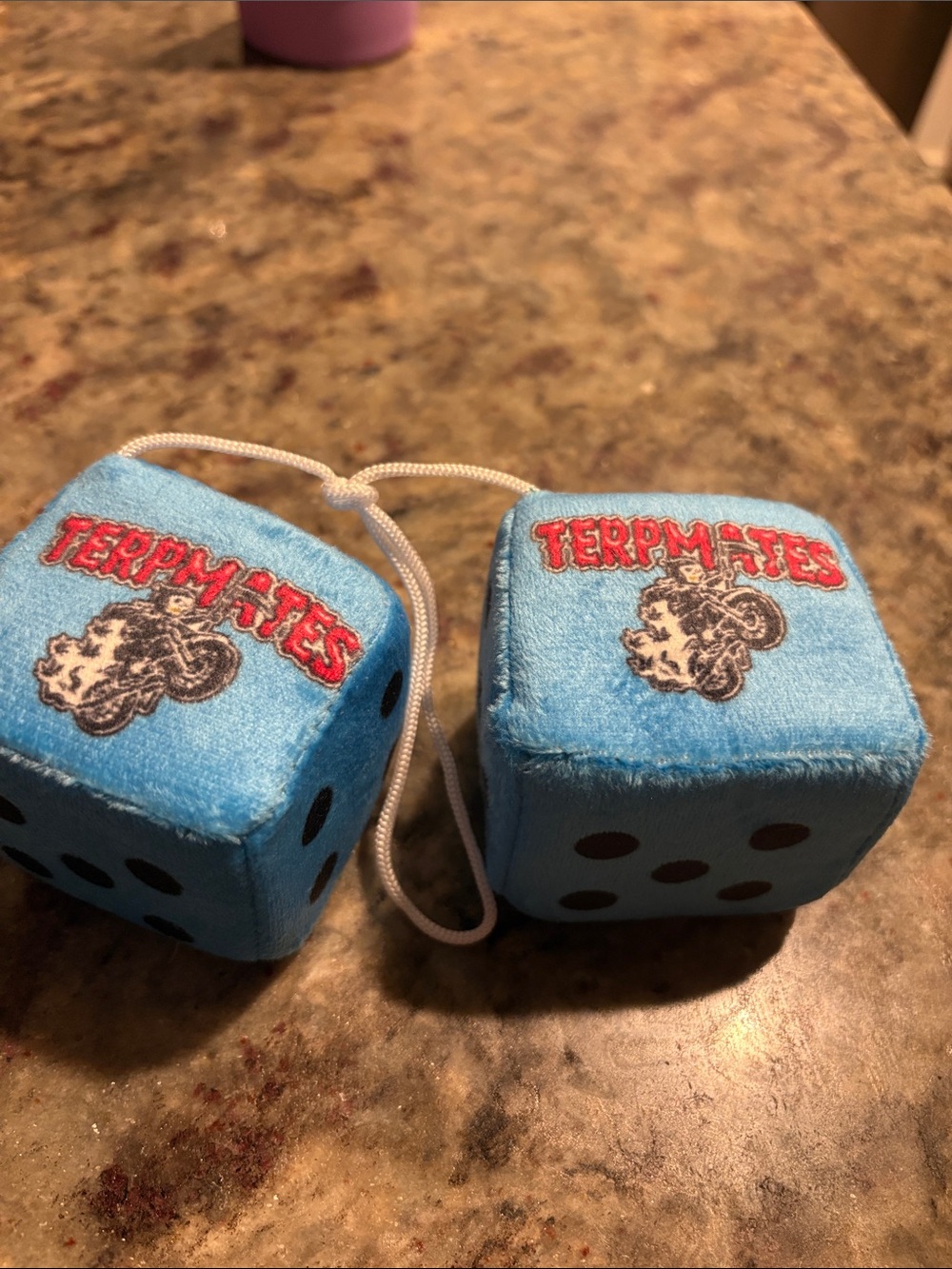Blue Fuzzy Dice with Red Logo
